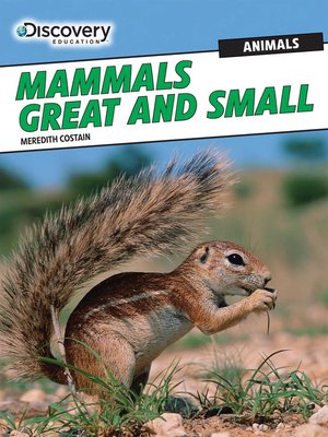 cover image of Mammals Great and Small